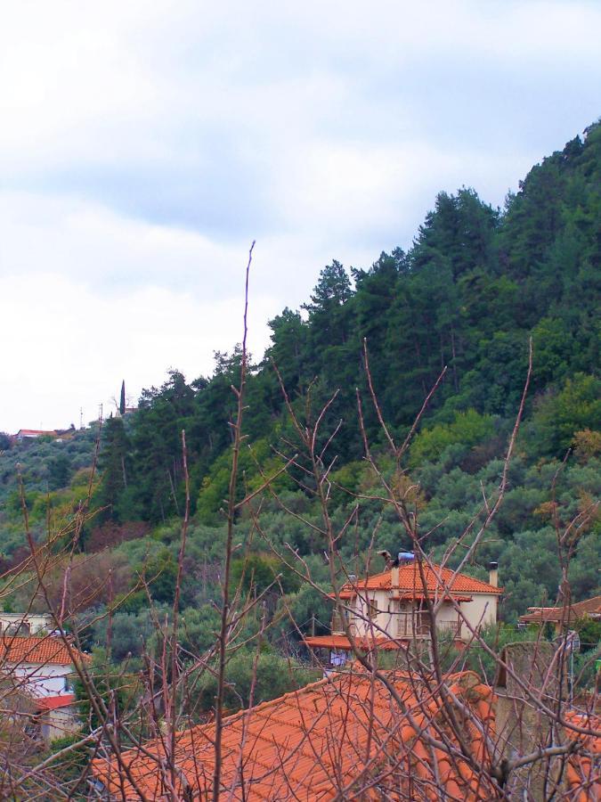 Ανεξαρτητο Studio Στο Ομορφο Καστορειο Appartement Kastorion Buitenkant foto